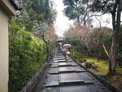 -有栖山 清光院 清水寺