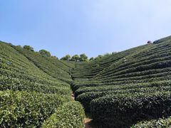 -听风阁农家私房菜茶楼(龙坞店)