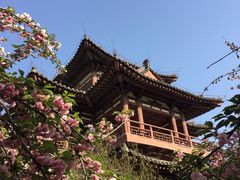 -西安青龙寺遗址景区