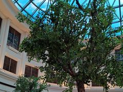 -漢咖啡·全服务式自助晚餐(武汉洲际酒店)