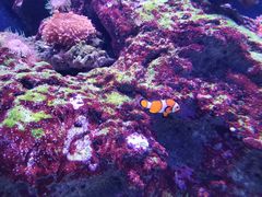 -成都浩海立方海洋公园