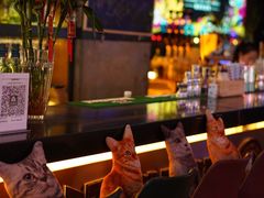 -Famous肥猫墨西哥音乐餐吧(五棵松华熙LIVE店)