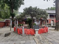 -泰山风景名胜区-普照寺