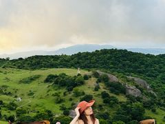 -大姆山草场