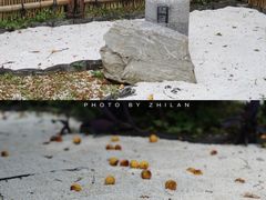 -无锡梅园公园