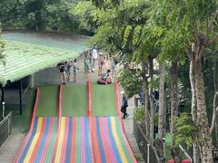 -海南槟榔谷黎苗文化旅游区