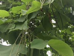 -白塘生态植物园