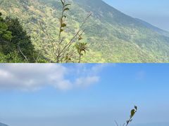 -梧桐山风景名胜区