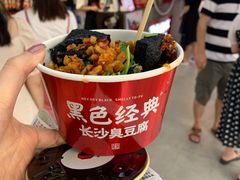 -黑色经典臭豆腐·湖南特产(坡子街店)
