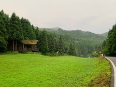 -武陵山森林公园