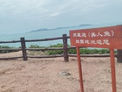 -杨梅坑