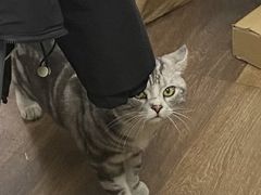 -赛可优数码广告印刷(解放南路店)