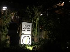 -Jungle Kitchen