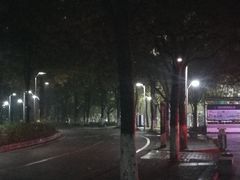 -广东花都湖国家湿地公园