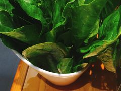 菠菜-草原塞蛮羊火锅城(港湾店)