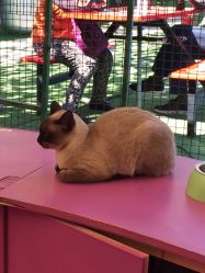 -萌宠亲子动物乐园(槐房万达店)