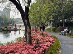 -新江湾城公园