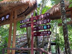 -海南槟榔谷黎苗文化旅游区