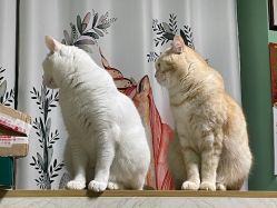 -齐伽生活馆·瑜伽·普拉提·阿育吠陀