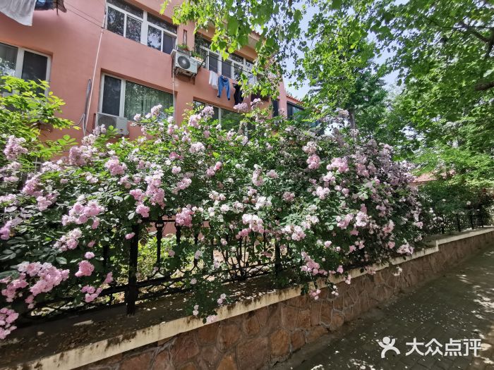八大关景区图片