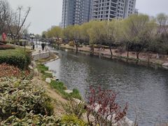 -丁家河公园