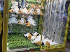-大玩家(平江万达店)