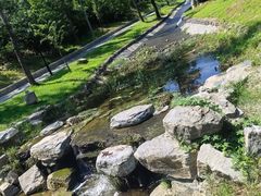 -白水寺森林公园