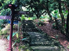 -大屏嶂森林公园