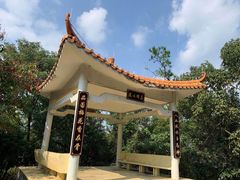 -风云岭森林公园