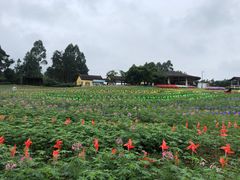 -保利石象湖景区