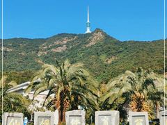 -梧桐山风景名胜区