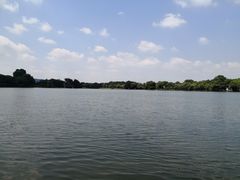 -西湖外事游船(花港观鱼码头)