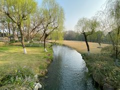 -柳浪闻莺公园