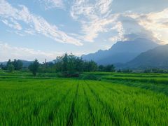 -峨眉山风景名胜区