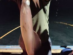 -万尾金滩