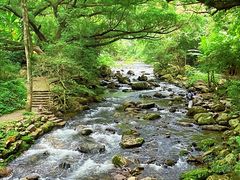 -广州市石门国家森林公园