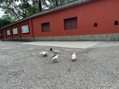 -黔灵山公园