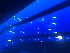 -SPACE(欢乐颂购物中心店)
