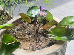 -聚福宝合苑食府(南头镇店)