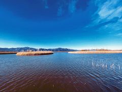 -野鸭湖国家湿地公园