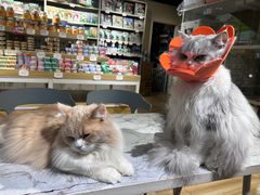 -听TA说宠咖·宠物生活馆(天韵水岸店)