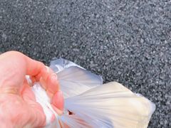 -蒋六十八梯眼镜面(狮子坪店)