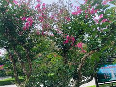 -淮海战役纪念馆
