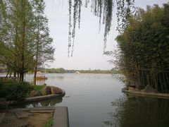 -洛阳市隋唐城遗址植物园