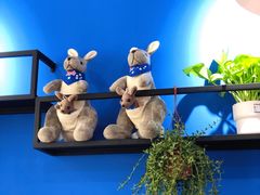 -OZ cafe(南昌路店)