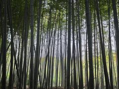 -苏州环秀晓筑养生度假村