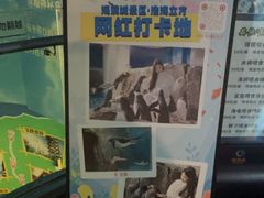 -成都浩海立方海洋公园