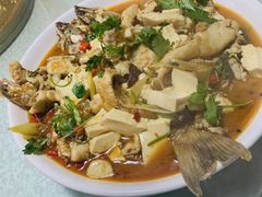 -煲来饱去冷水鱼