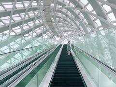 -凤凰中心