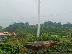 -广州市流溪河国家森林公园